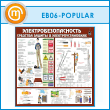 ����� ��������������������. �������� ������ � ������������������ (EB-06-POPULAR)